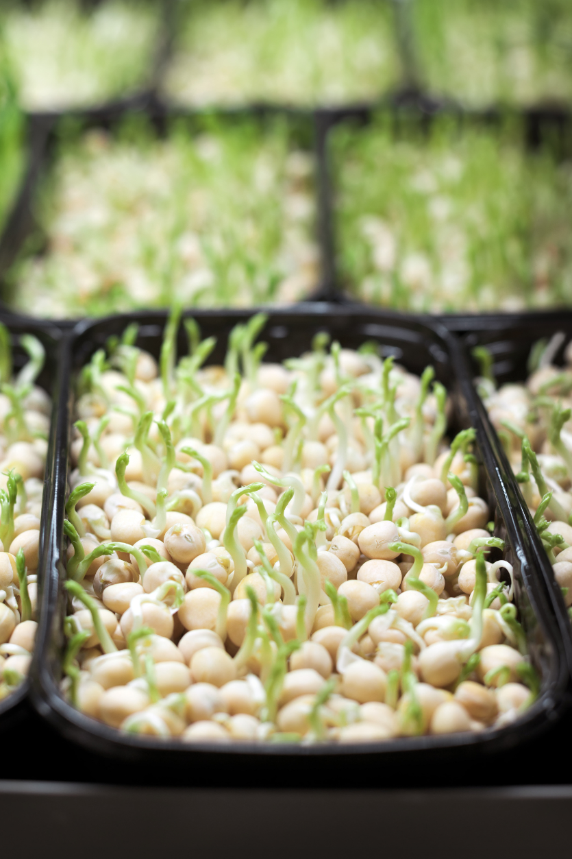 About Our Restaurant